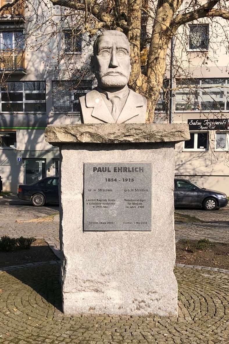 Paul%20Ehrlich%27s%20bust%2C%20Strzelin%20%282%29.jpg